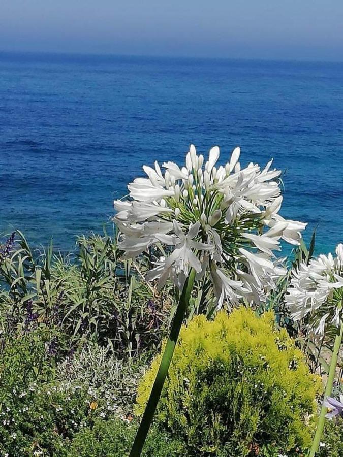 Ikaria Village Maisonette 12 Пафос Екстериор снимка