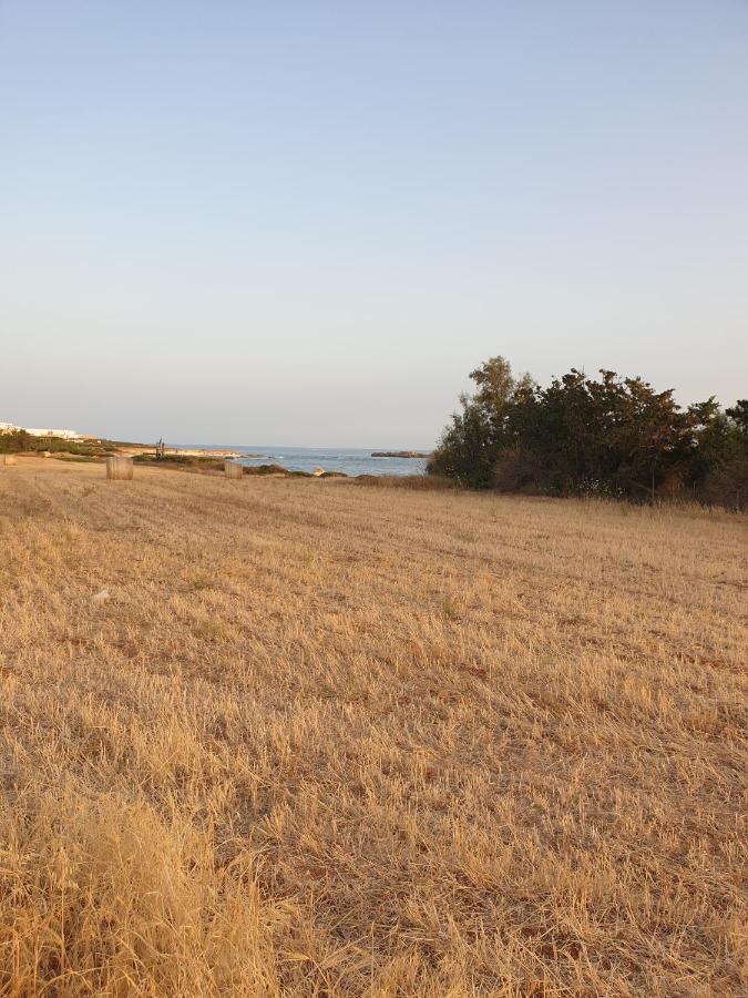 Ikaria Village Maisonette 12 Пафос Екстериор снимка